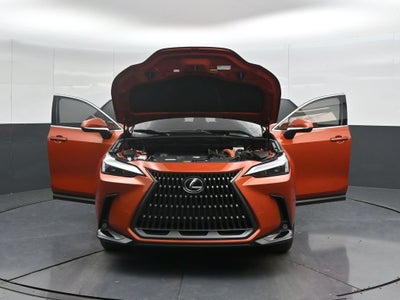 2024 Lexus NX 350h Base